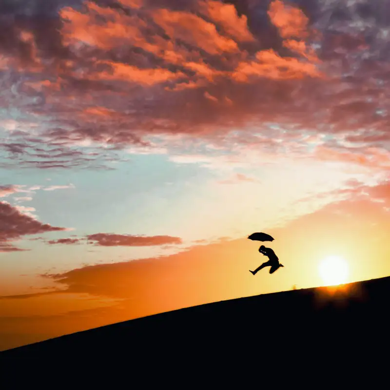 Silhouette of a happy traveler looking forward